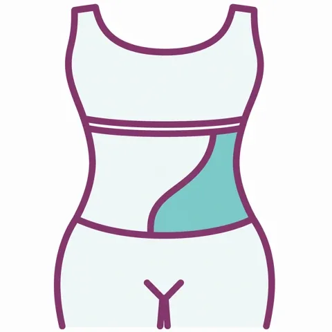 Zona de cintura y abdomen señalada en una silueta